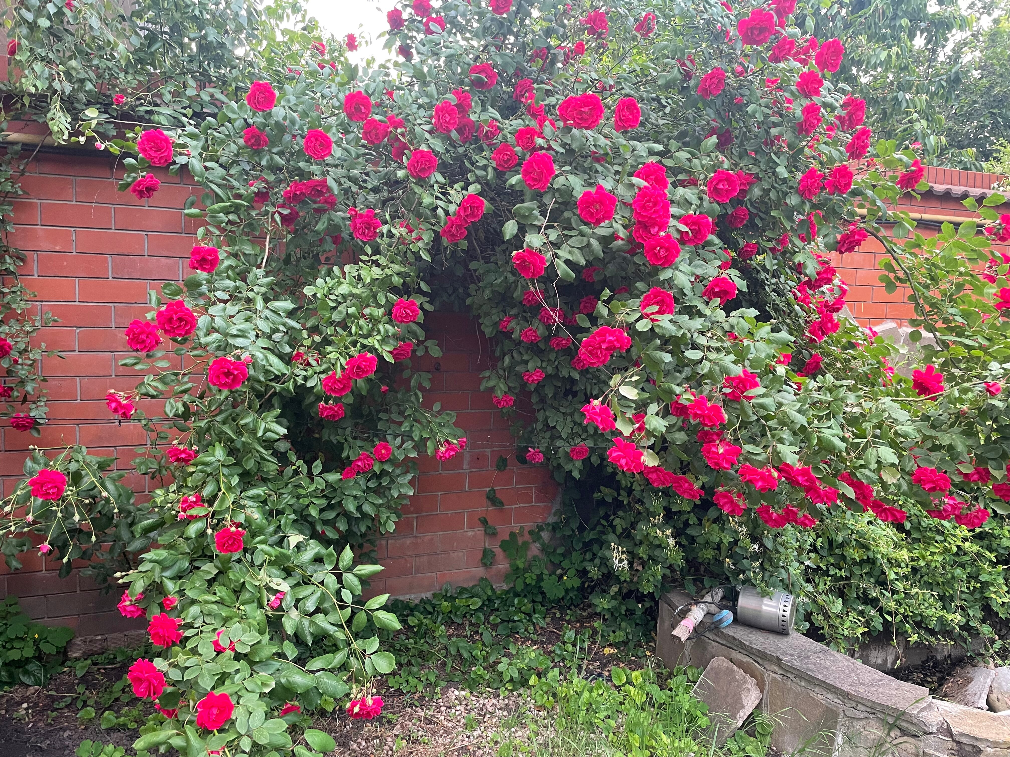 Фото Дом для отдыха