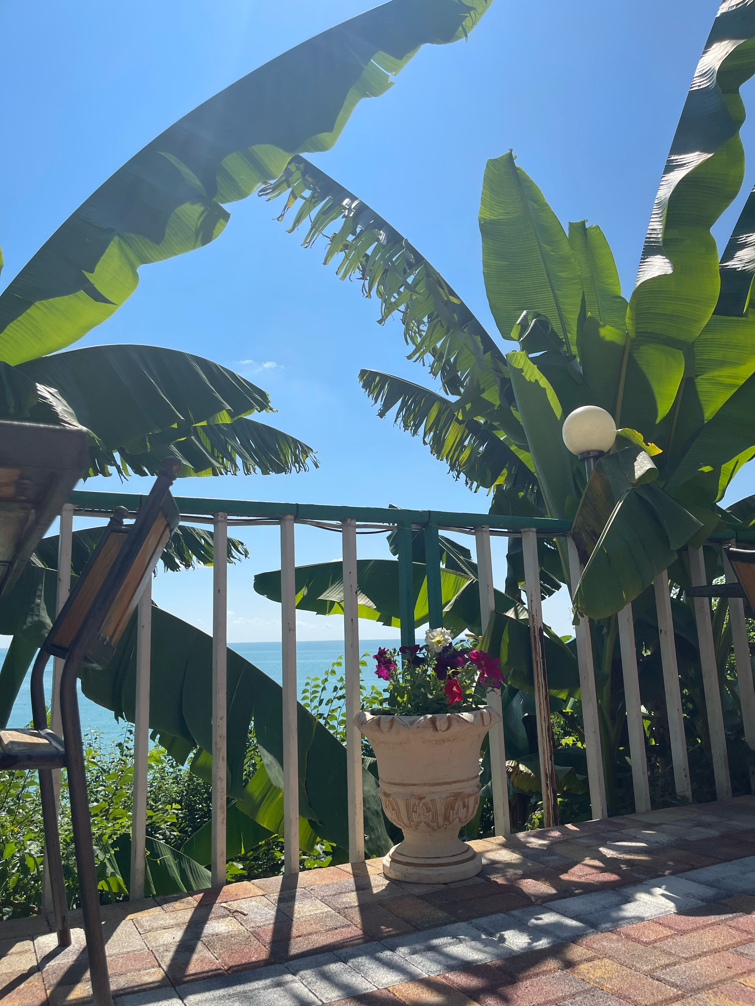 Фото Чемитка