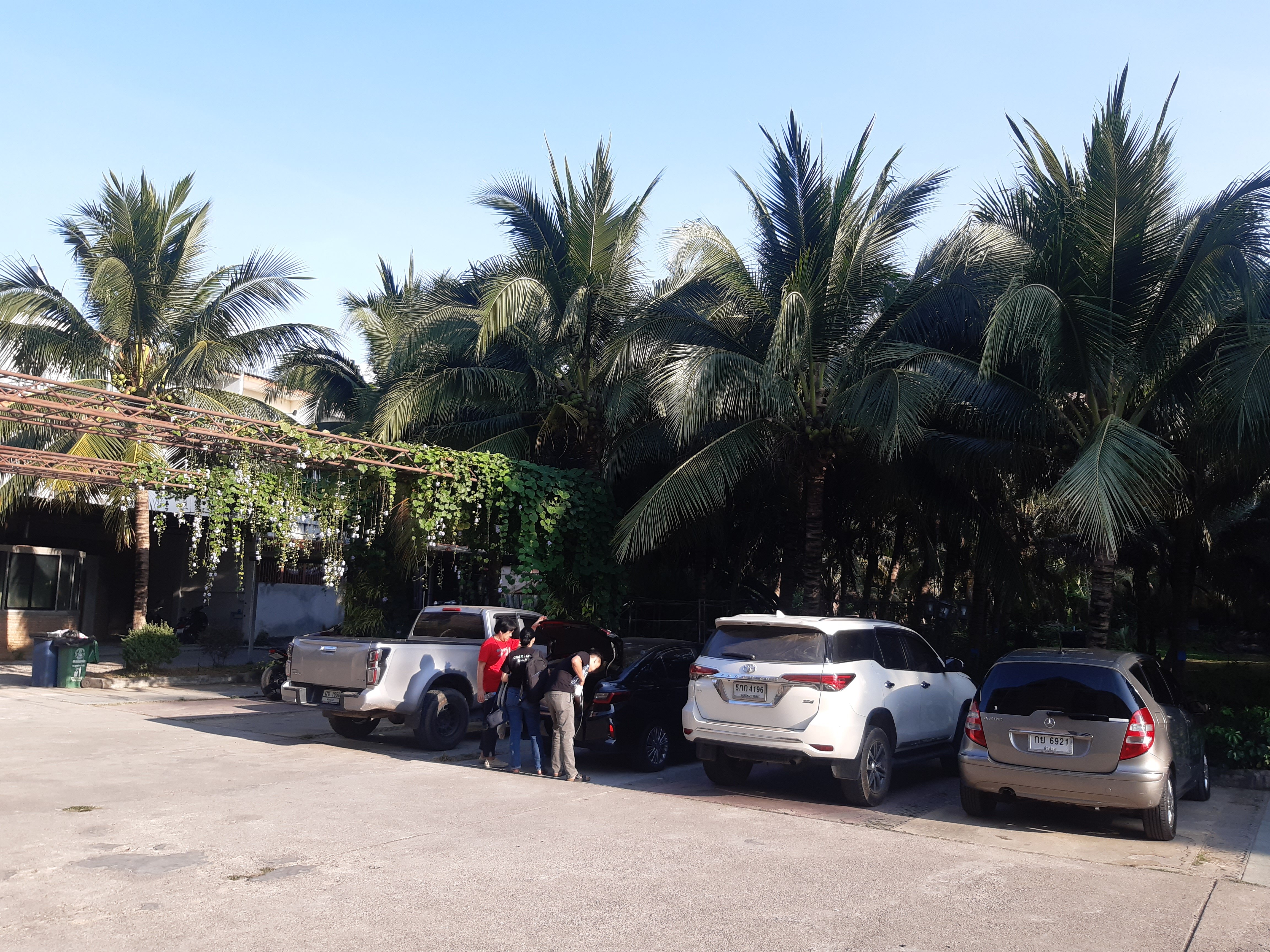 Фото The Coconut Hotel