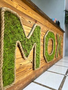 Мох (Tsentralny administrativny okrug, Fabrichnaya ulitsa, 23), cafe