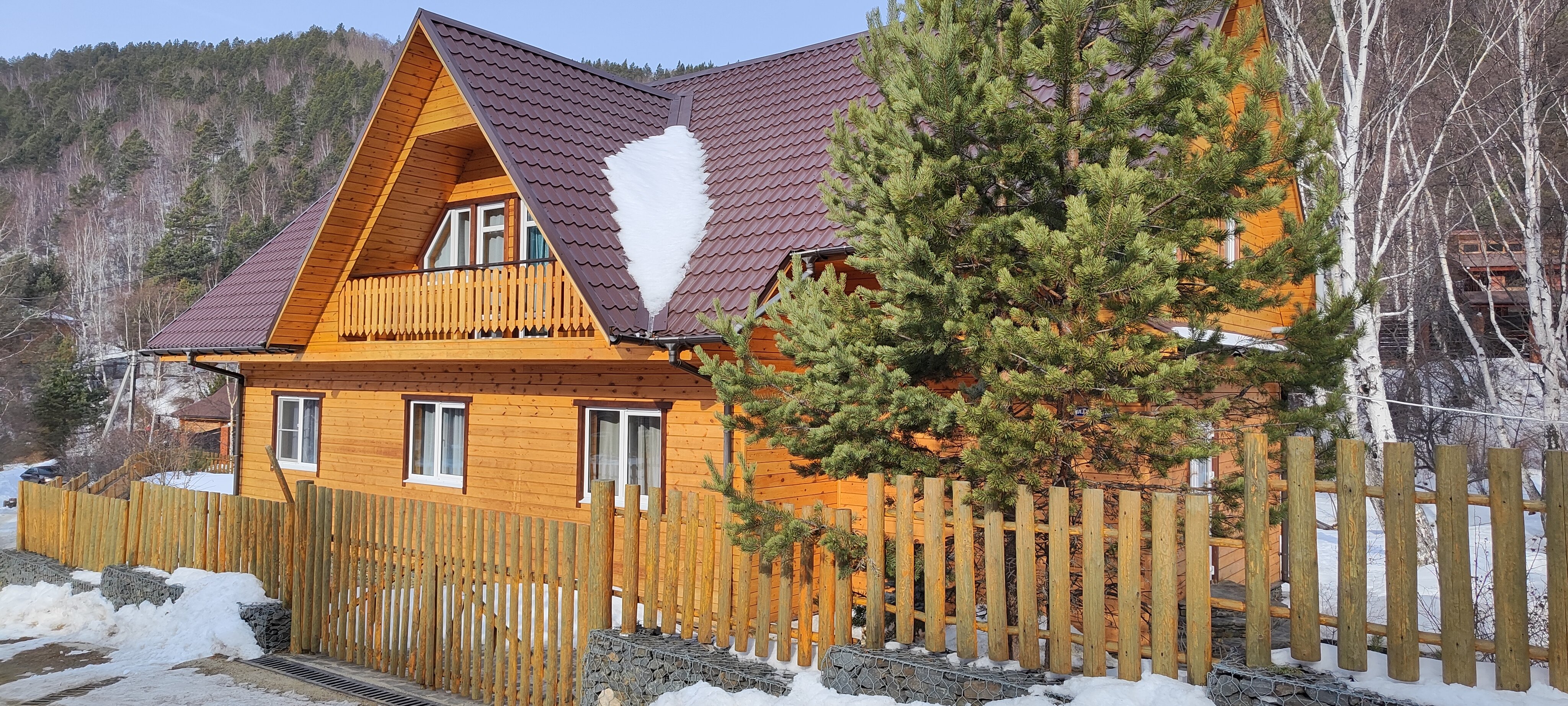 Фото Forest trail