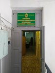 Кинолог (Suvorova Street, 117с2), canine service