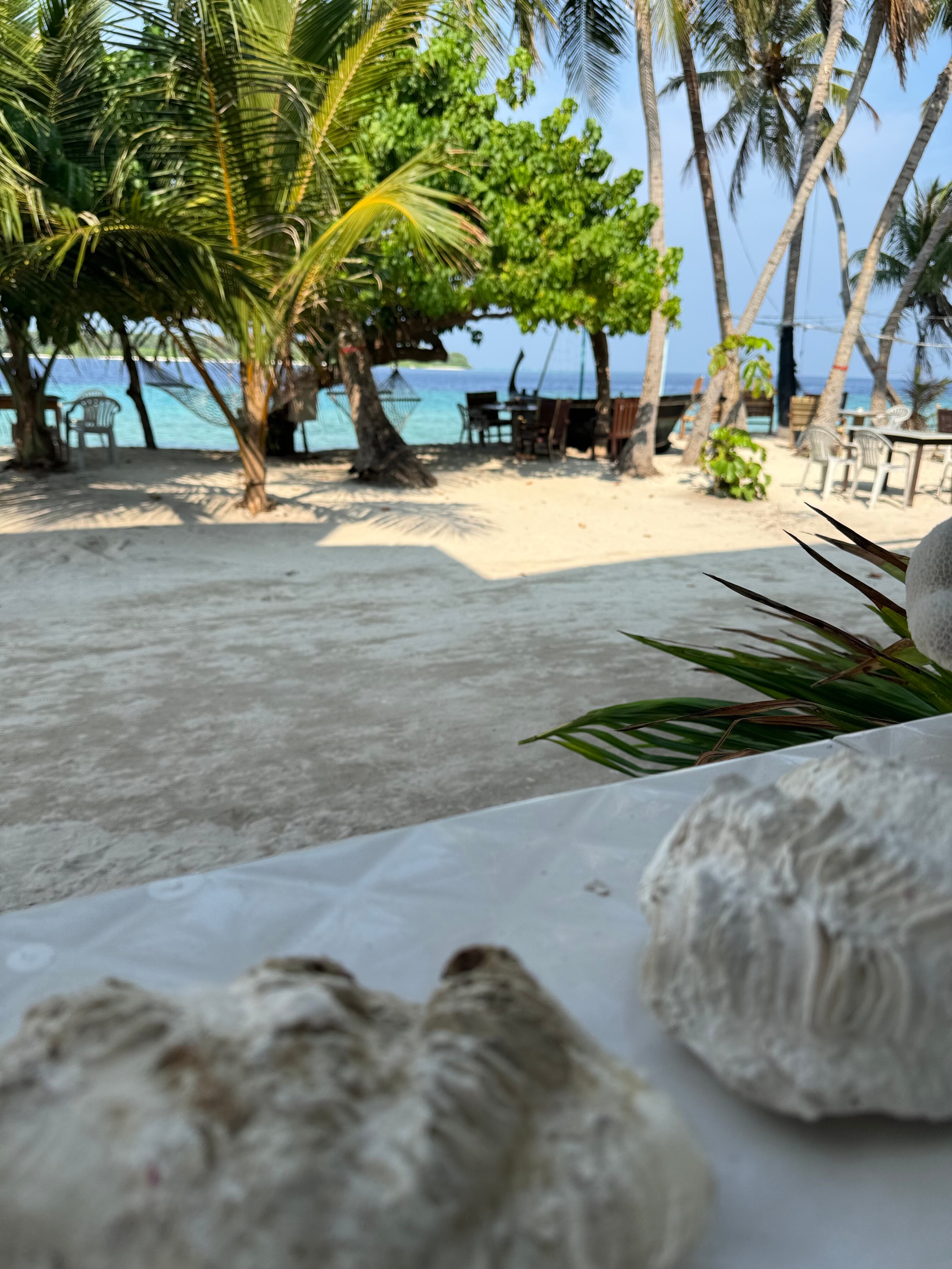 Фото Dhonfulhafi Beach View & SPA