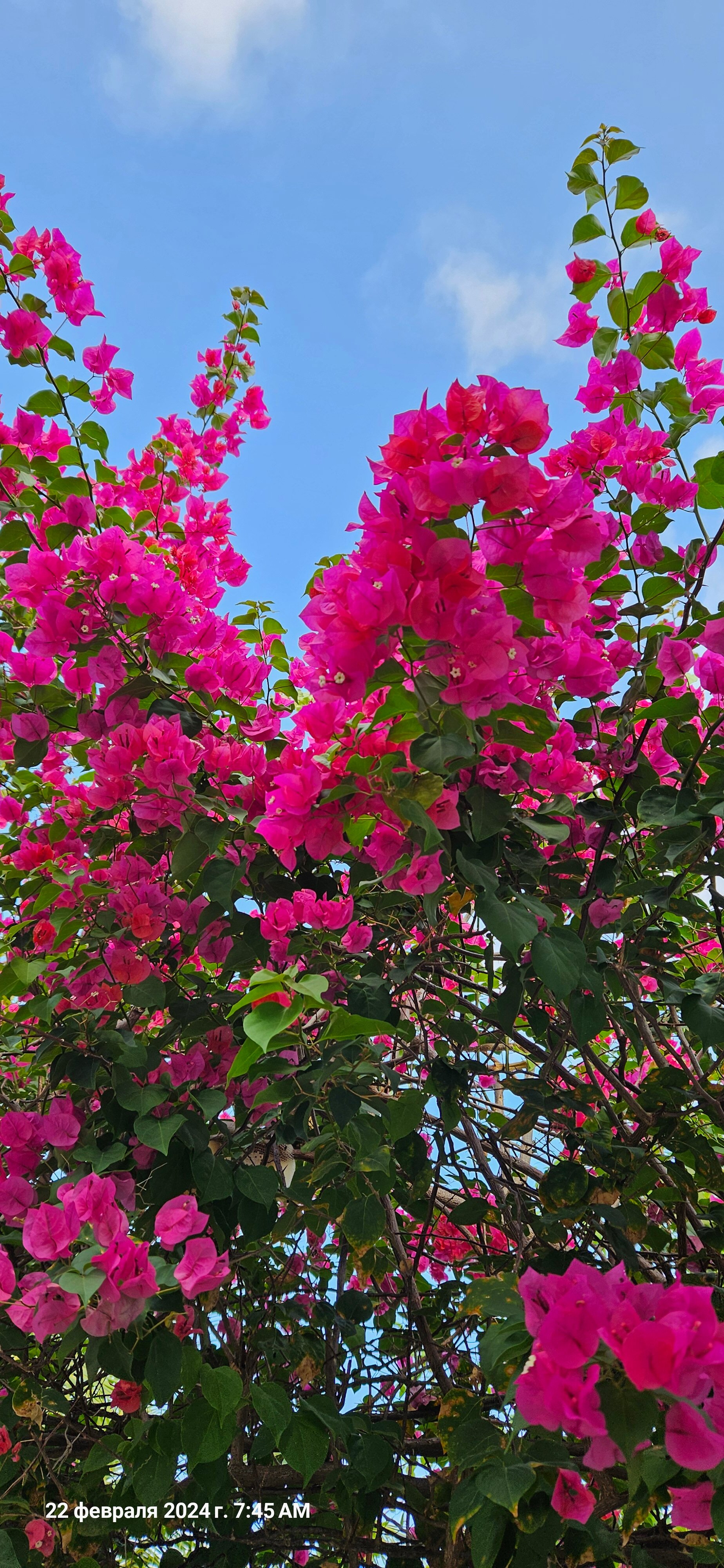 Фото New World Phu Quoc Resort