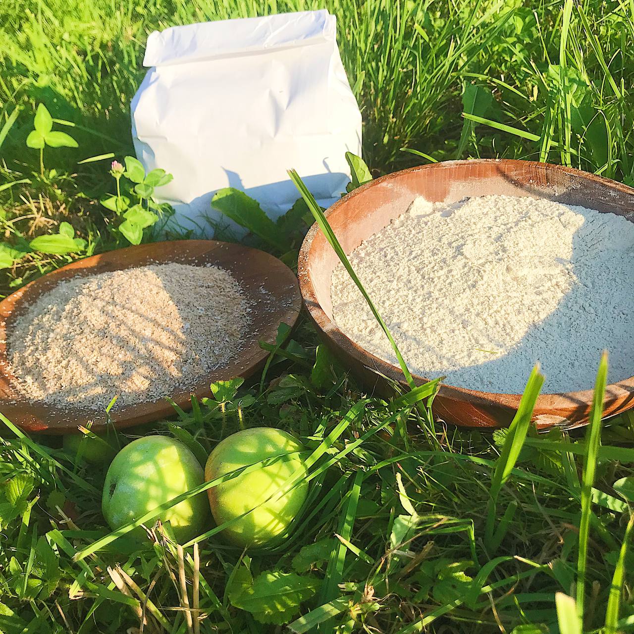 Фото ХоллиЛэнд 