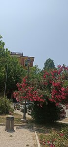 Lido di Ostia (Lazio, Roma, Lido di Ostia Levante), beach