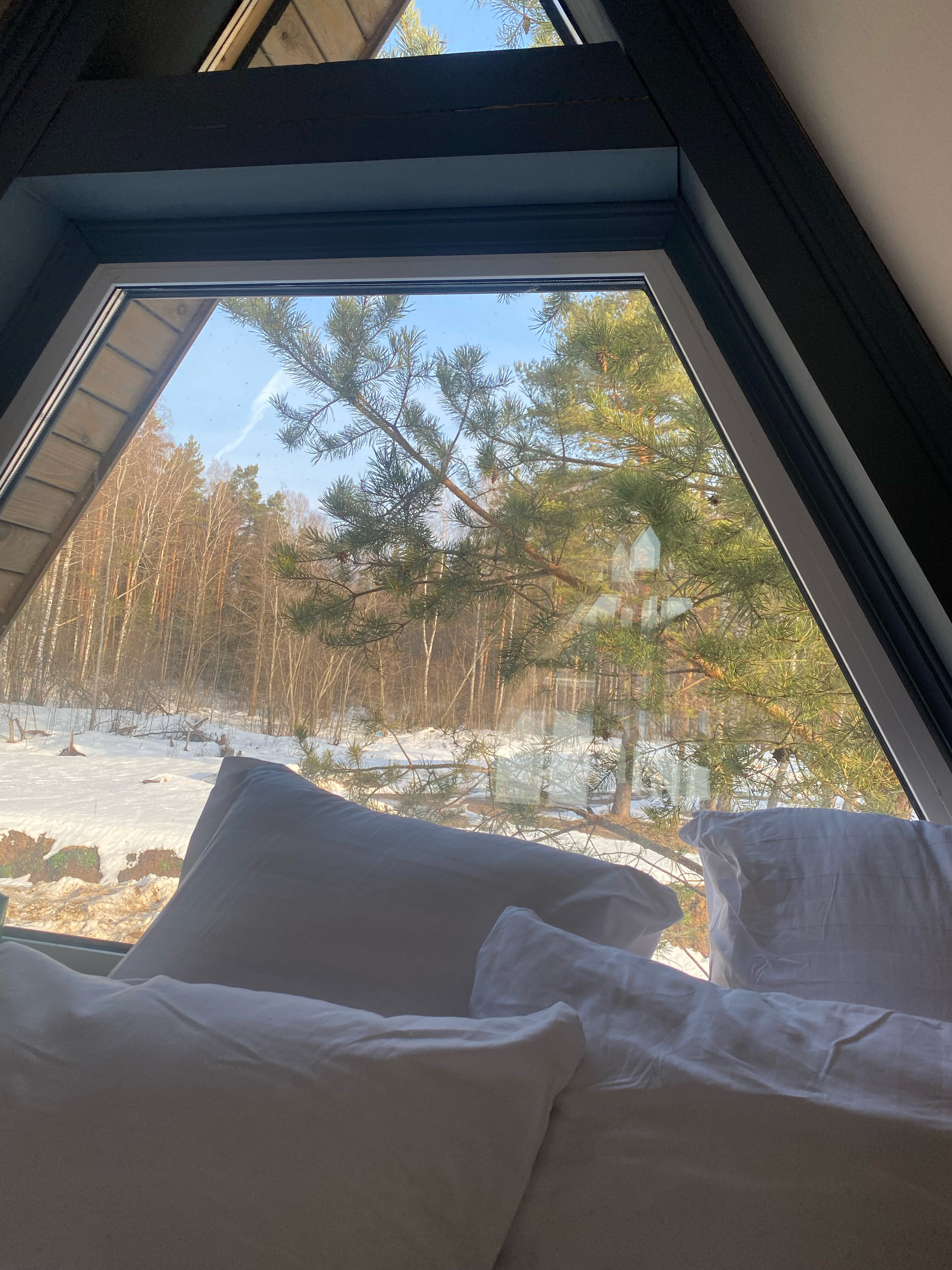 Фото Парк-отель Тутань