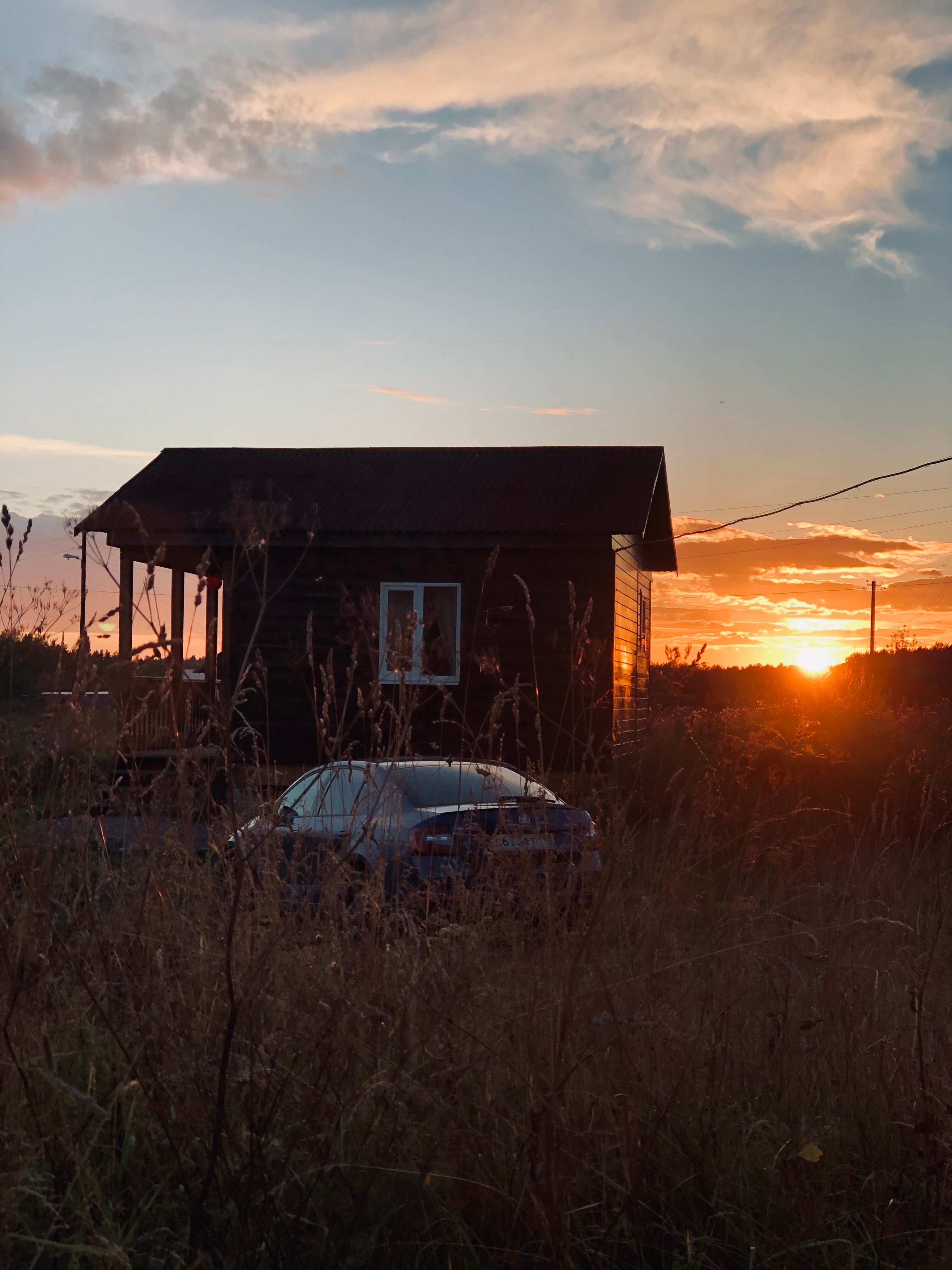 Фото Кот и Лось