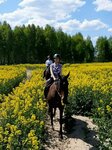 Margo (Worker Settlement of Navlya, Berezinka Street, 50), horse riding