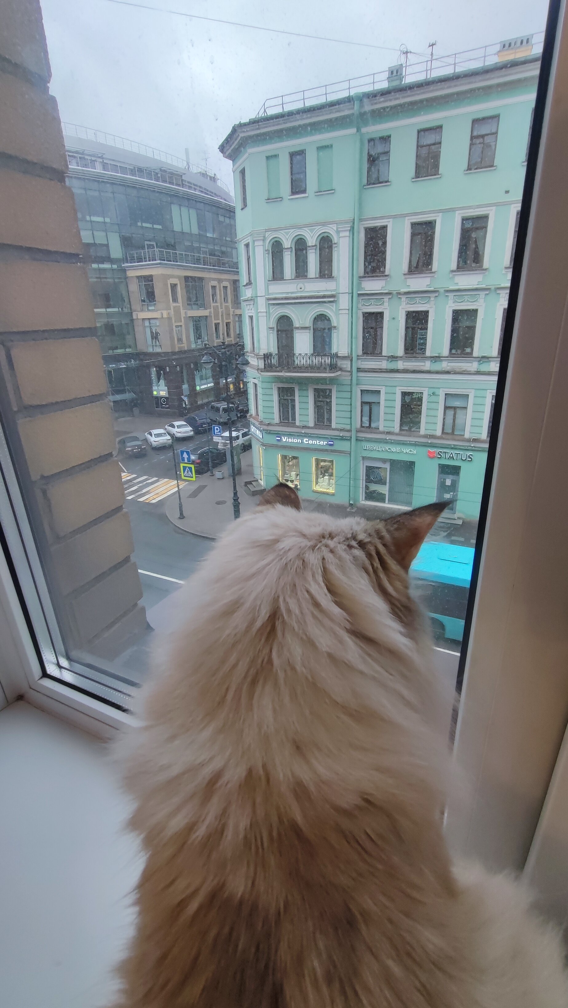 Фото Большой 45