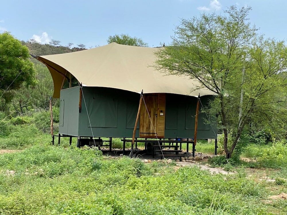 Фото Trees & Tigers