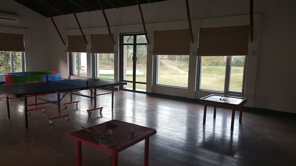 Фото Trees & Tigers