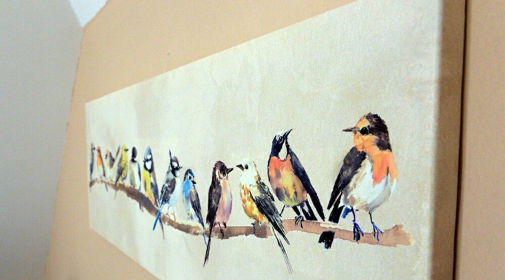 Фото Southern Dream