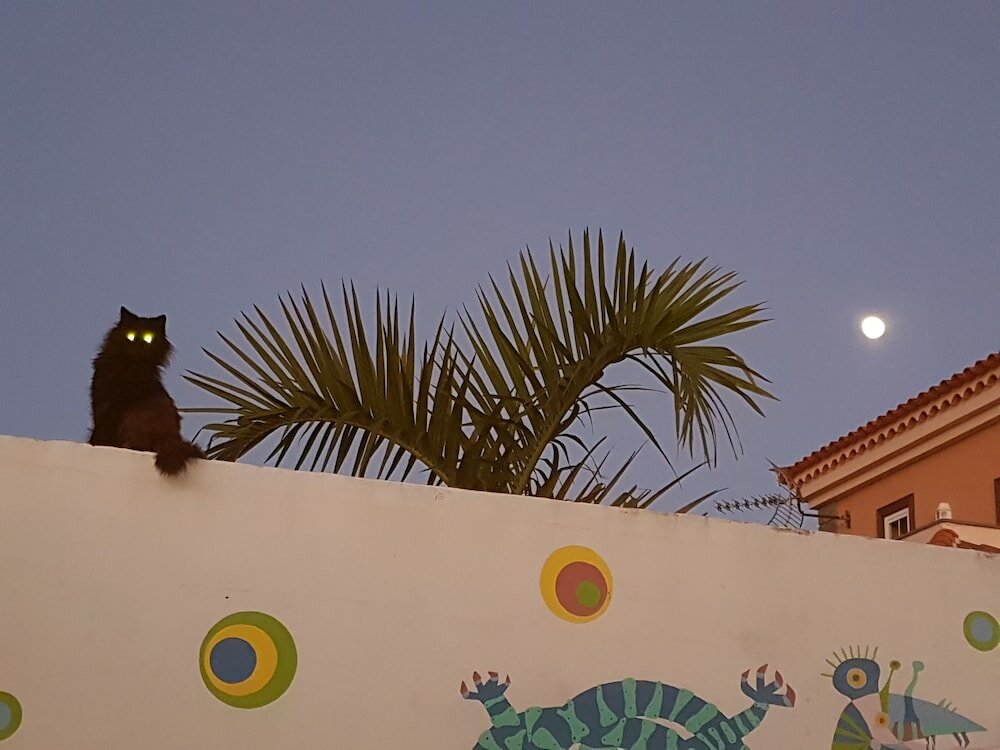 Фото Chalet Anagato