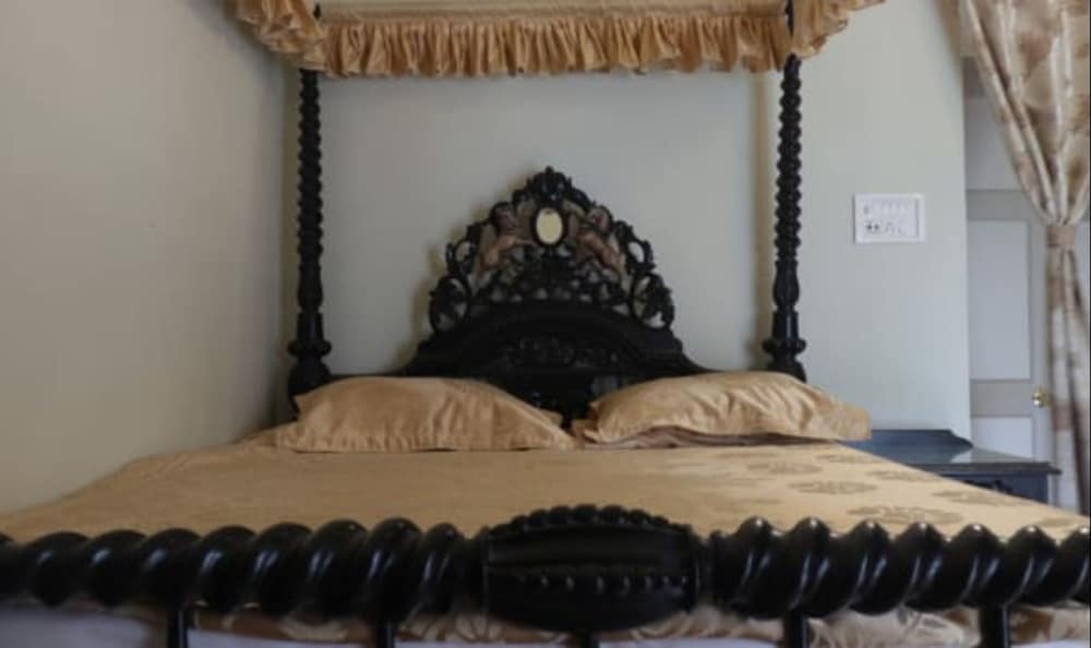 Фото Cossimbazar Palace of the Roys Rajbari