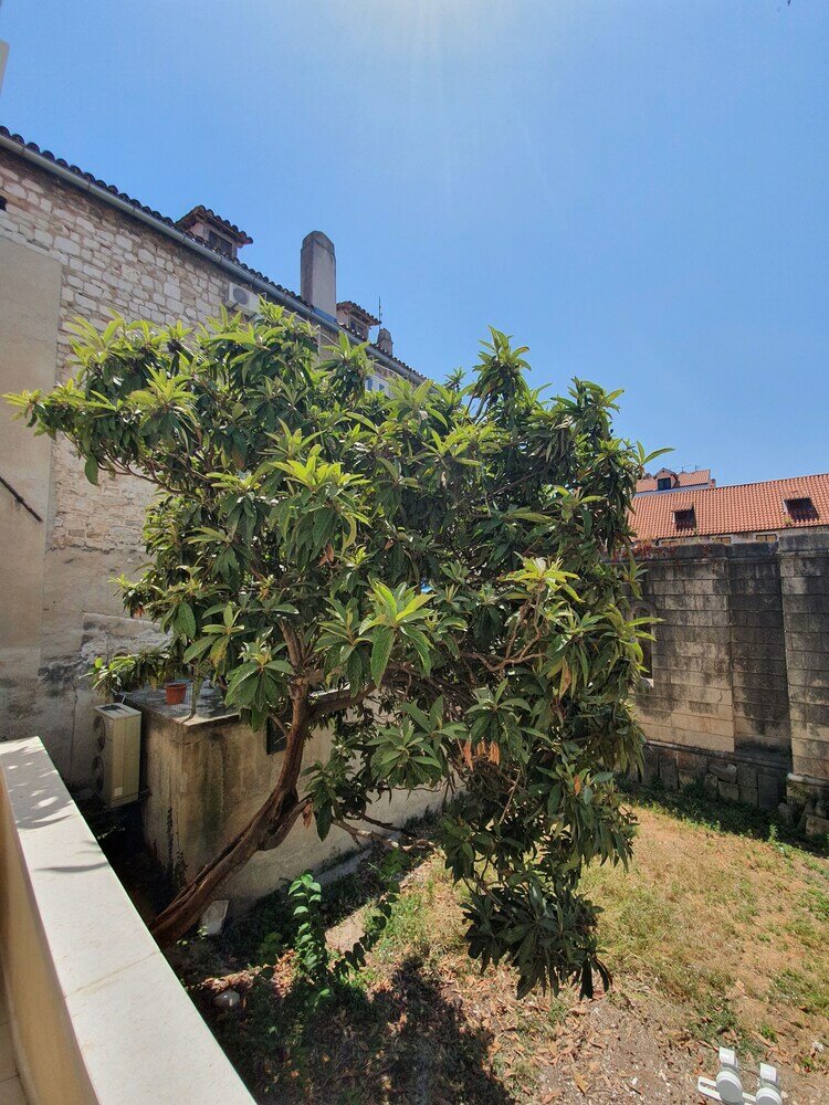 Фото The Suites at Central Split