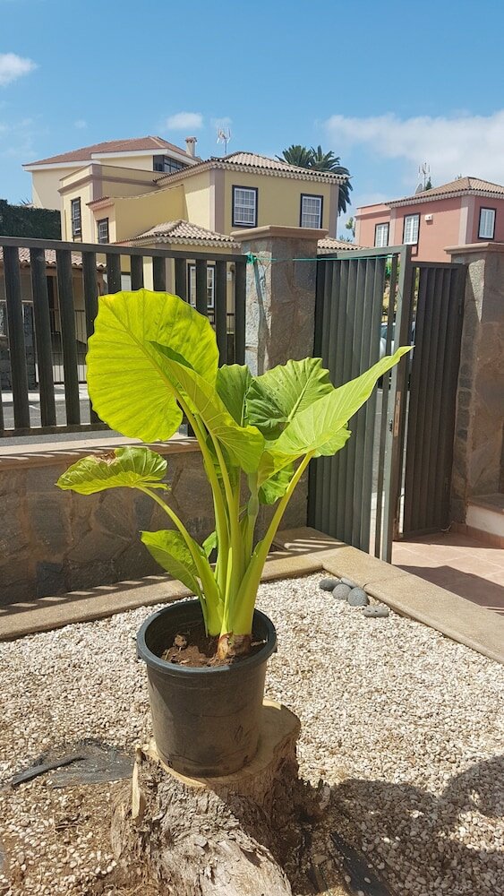 Фото Chalet Anagato