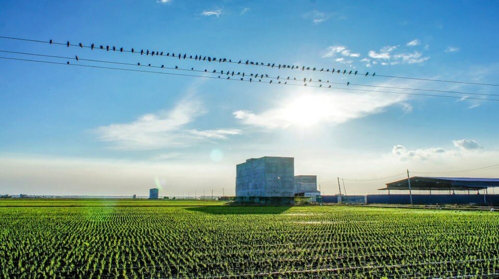 Фото The One Boutique Hotel Sekinchan