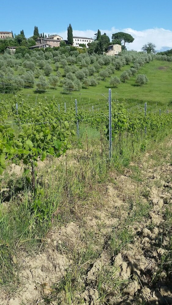 Фото Villa Caselunghe