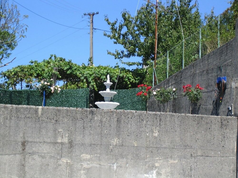 Фото Hotel Chola