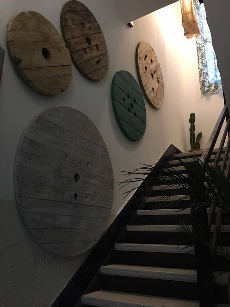 Фото Cactus Host