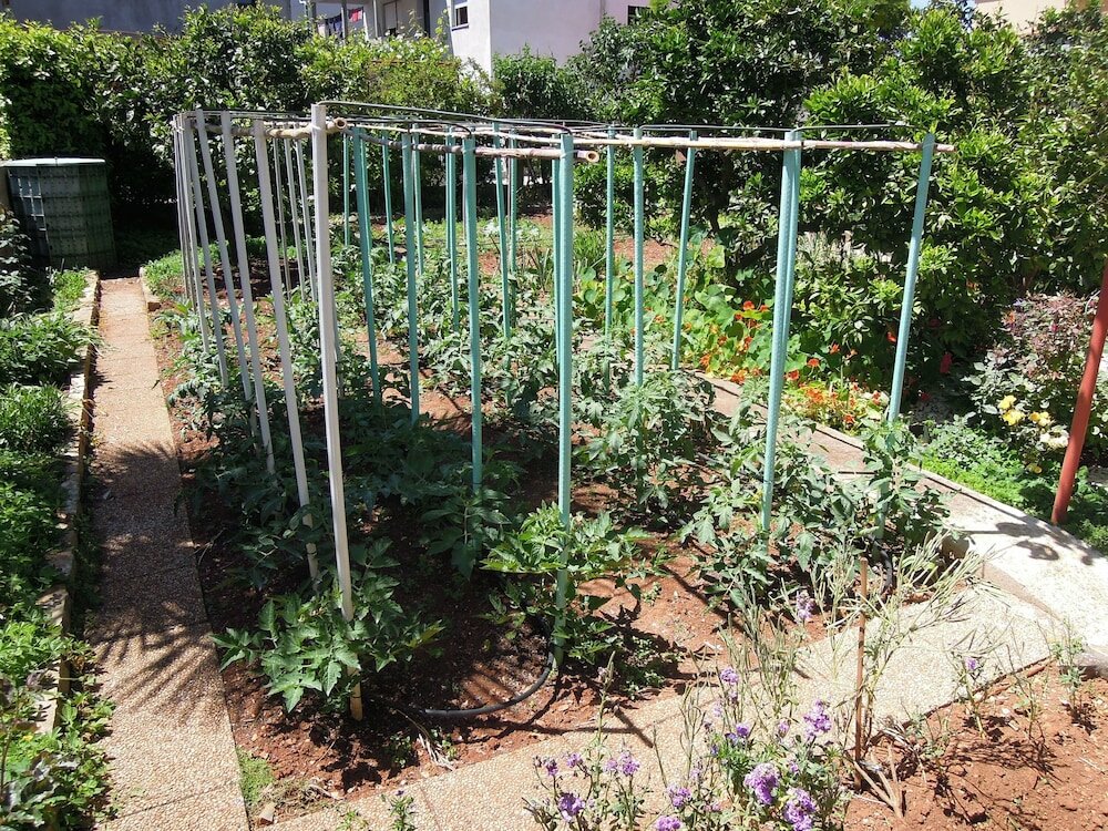 Фото Apartmani Simicev