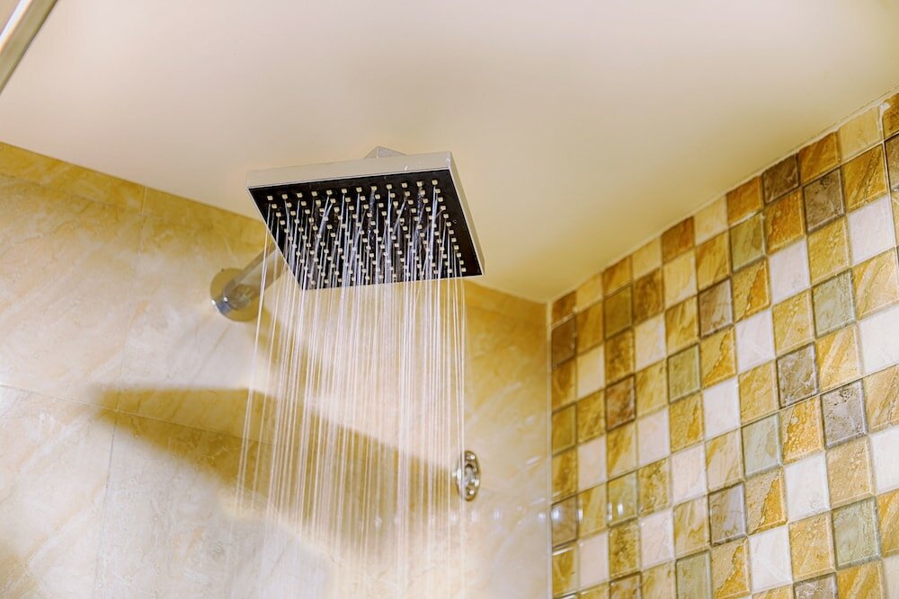 Фото Priyadarshini Pride