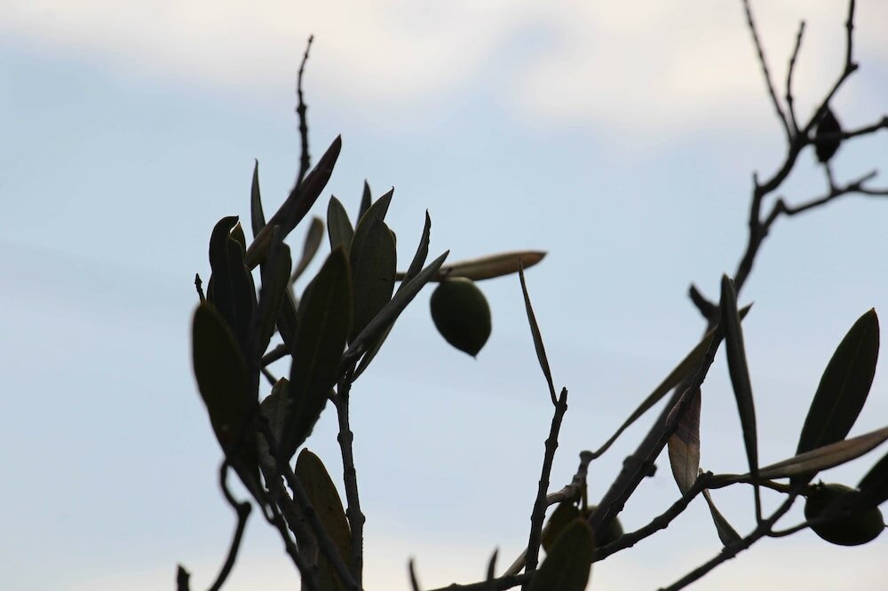 Фото Monte Costa Luz