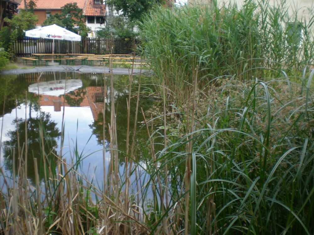 Фото Altstadthotel Ilsenburg