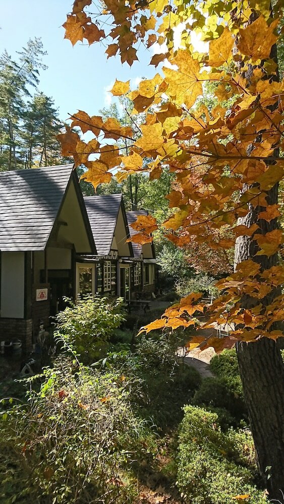 Фото Pension Maple Leaf