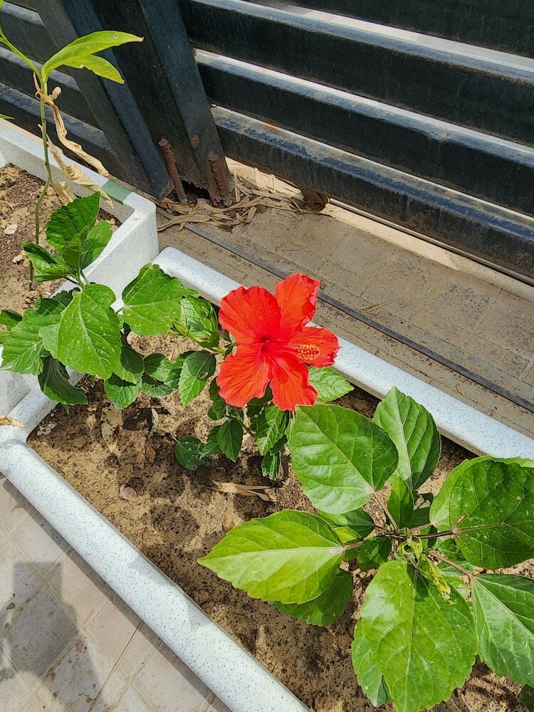 Фото Hotel Square 9 Inn