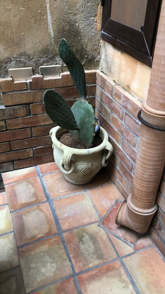 Фото La Corte Normanna