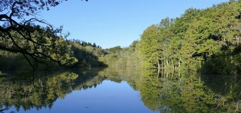 Hotel Night Pastures, England, photo