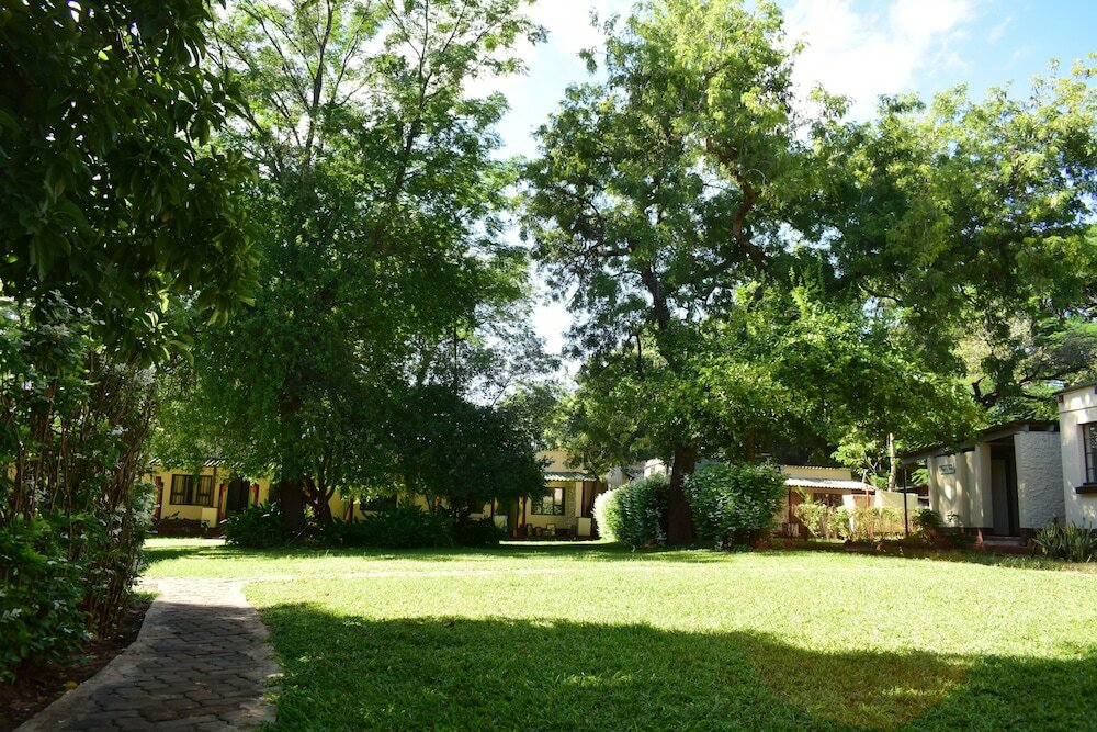 Фото Shoestrings Backpackers & Bar