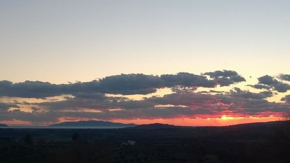 Фото Artemisia negli ulivi B&b