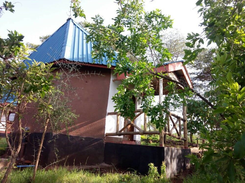 Фото Ancestors Lodge