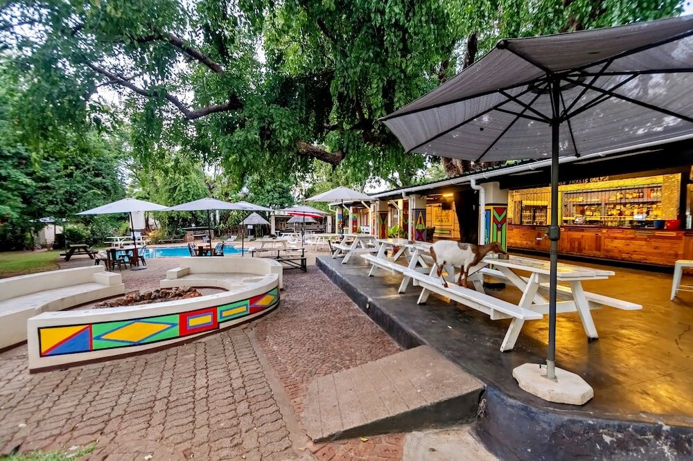 Фото Shoestrings Backpackers & Bar