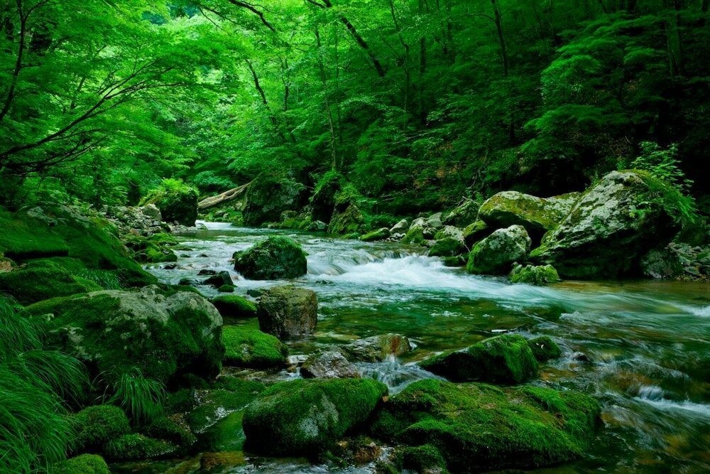 Фото Bunano Sato Shirakamikan