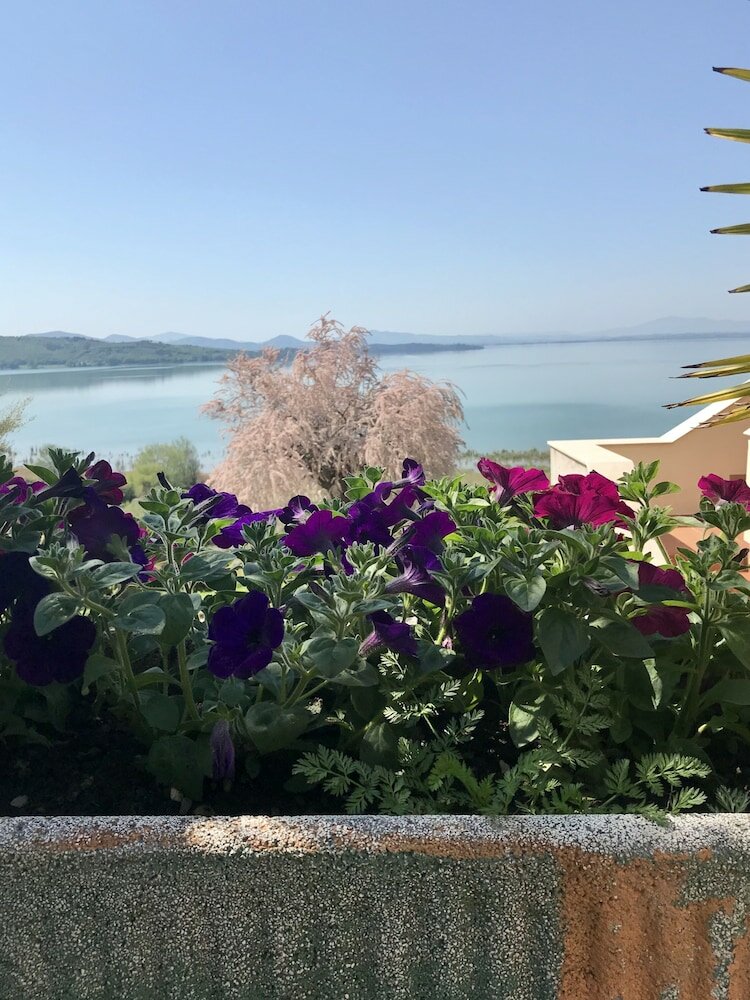 Фото B&b Torre del Lago Trasimeno