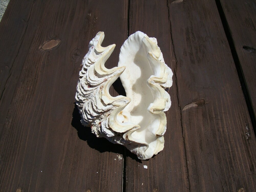 Фото Resort Life Kabira