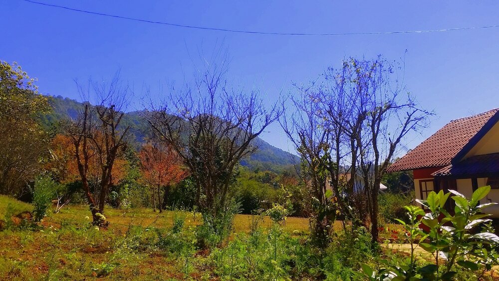 Фото Morning Glory Inn