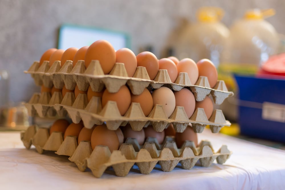 Фото Hotel Villa Margaret