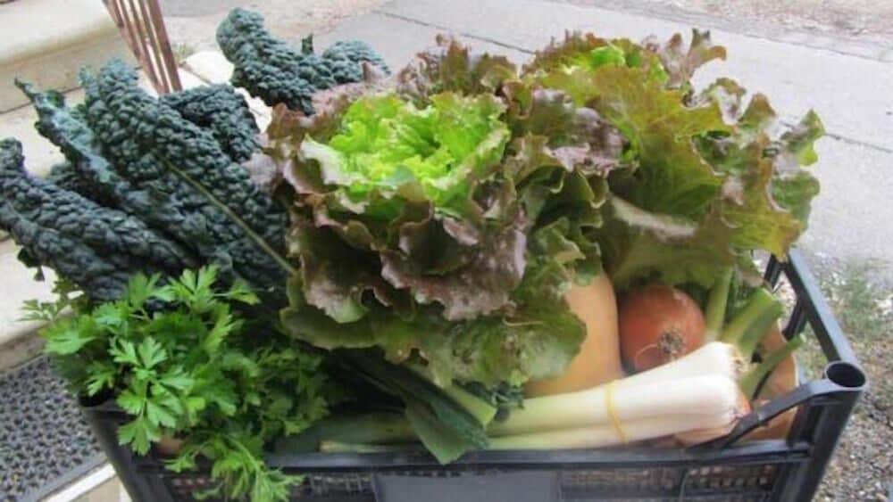 Фото Agriturismo Casa Piccini