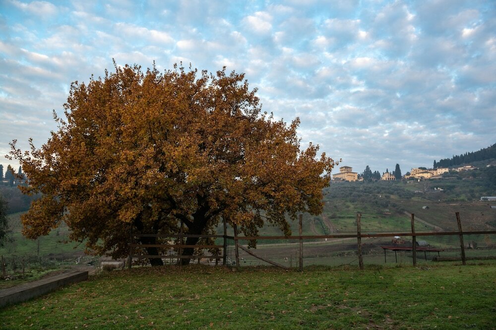 Фото Fattoria di Maiano