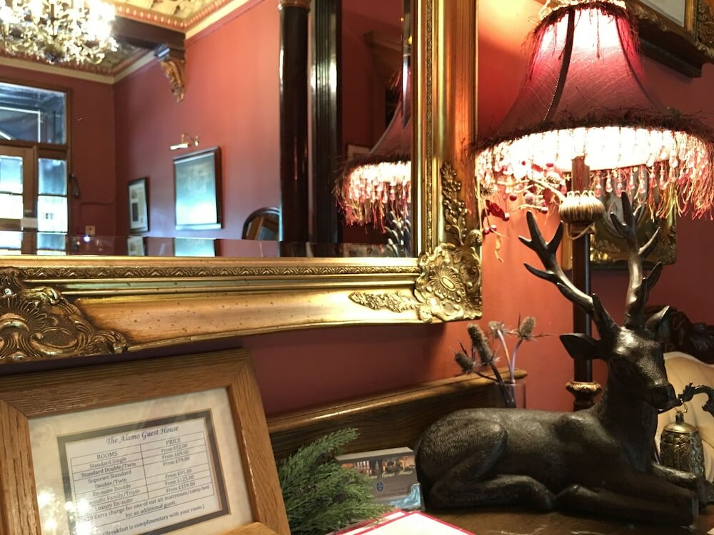 Фото Alamo Guest House