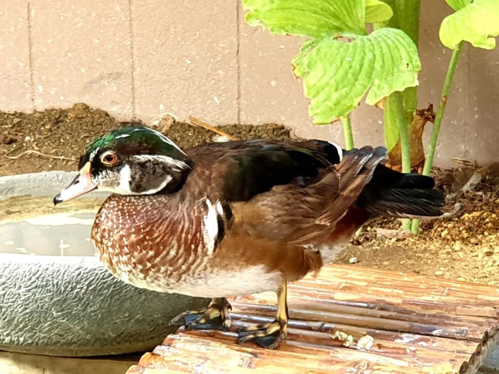 Фото See Sky Resort