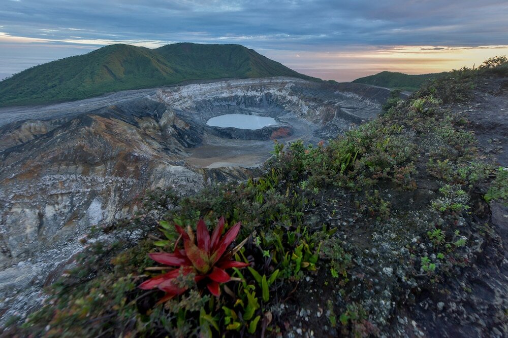 Фото Villa Calas