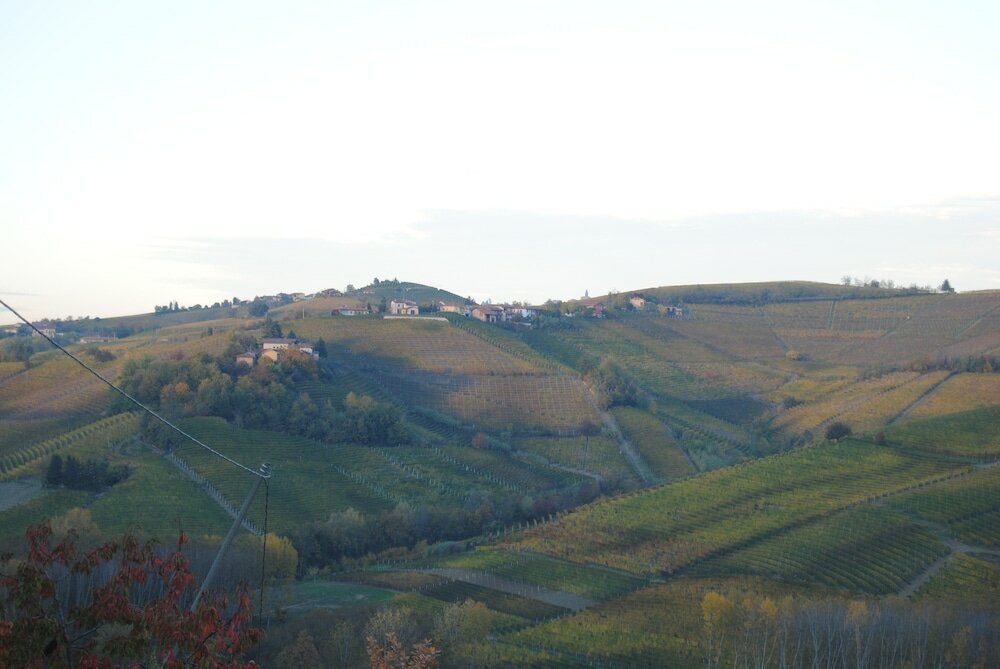 Фото Agriturismo i Grappoli