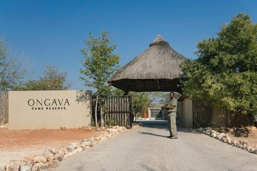 Гостиница Ongava Tented Camp