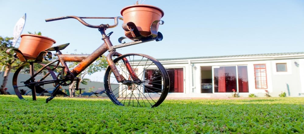 Фото Berry Bliss Guest House